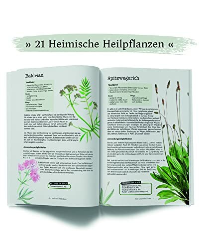 Buchseite über heimische Heilpflanzen mit Informationen zu Baldrian und Spitzwegerich.
