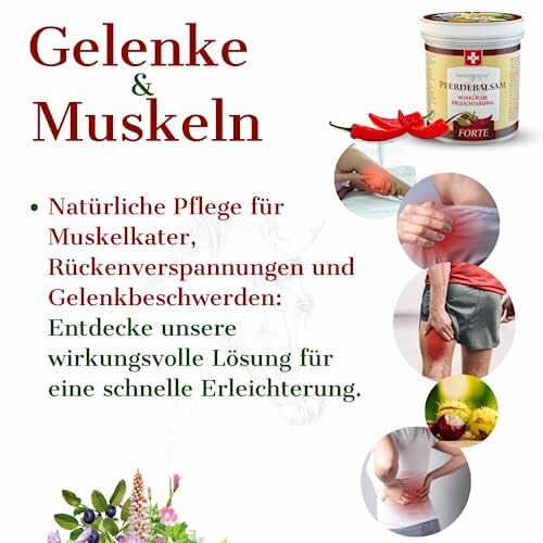SwissMedicus Pferdebalsam Forte