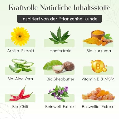 Verschiedene natürliche Extrakte und Inhaltsstoffe.
