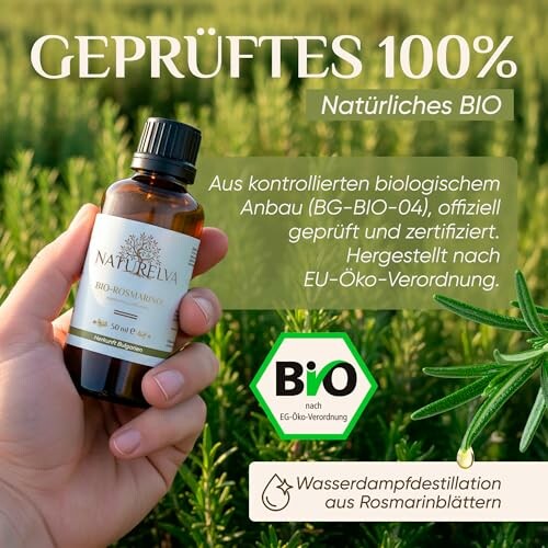 Flasche mit natürlichem Bio-Rosmarinöl auf grünem Hintergrund.