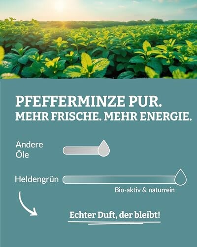 Pfefferminze Pflanzen mit Text über Frische und Energie