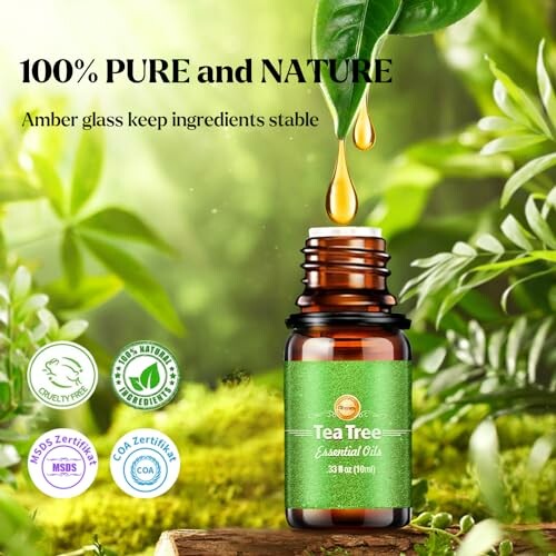 Teebaumölflasche mit grünen Blättern